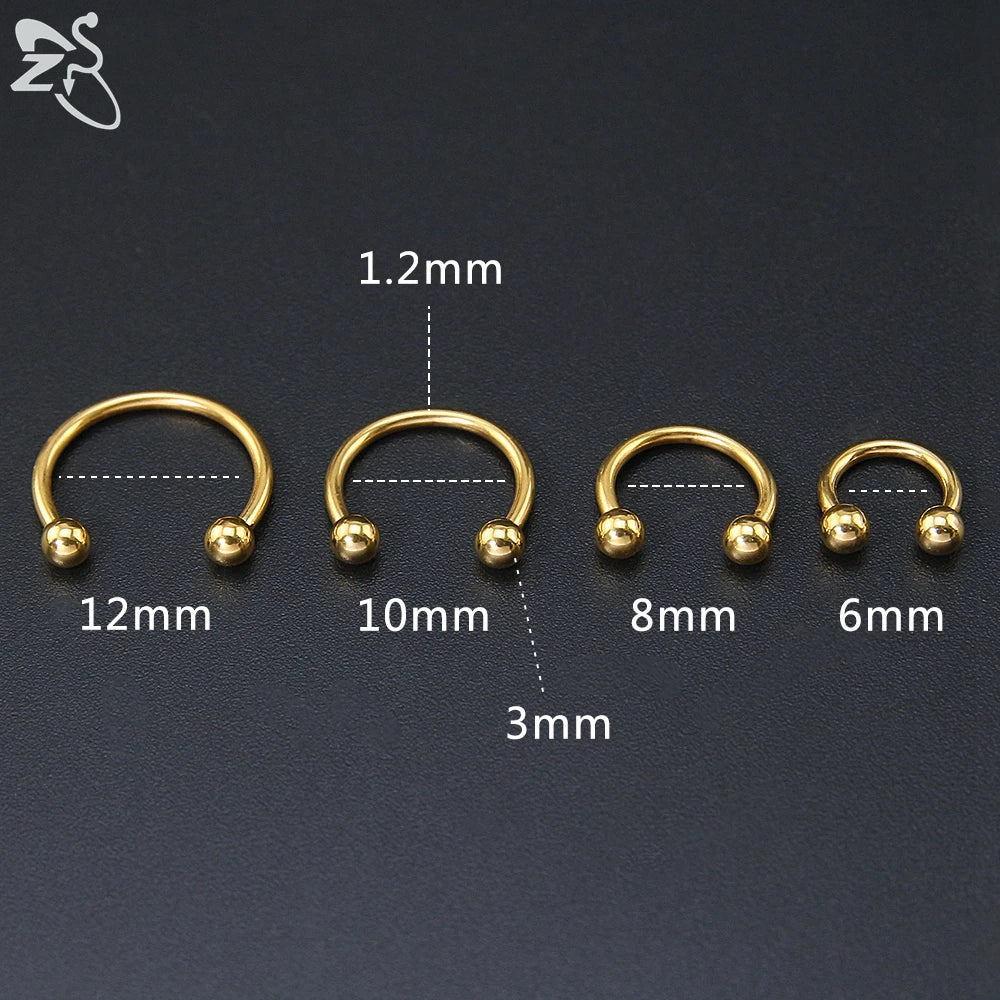 ZS 1 PC 316L Stainless Steel Nose Ring 14G 16G Nose Piercings Helix Ear Piercing Women Men Septum Rings Body Piercing  Jewelry