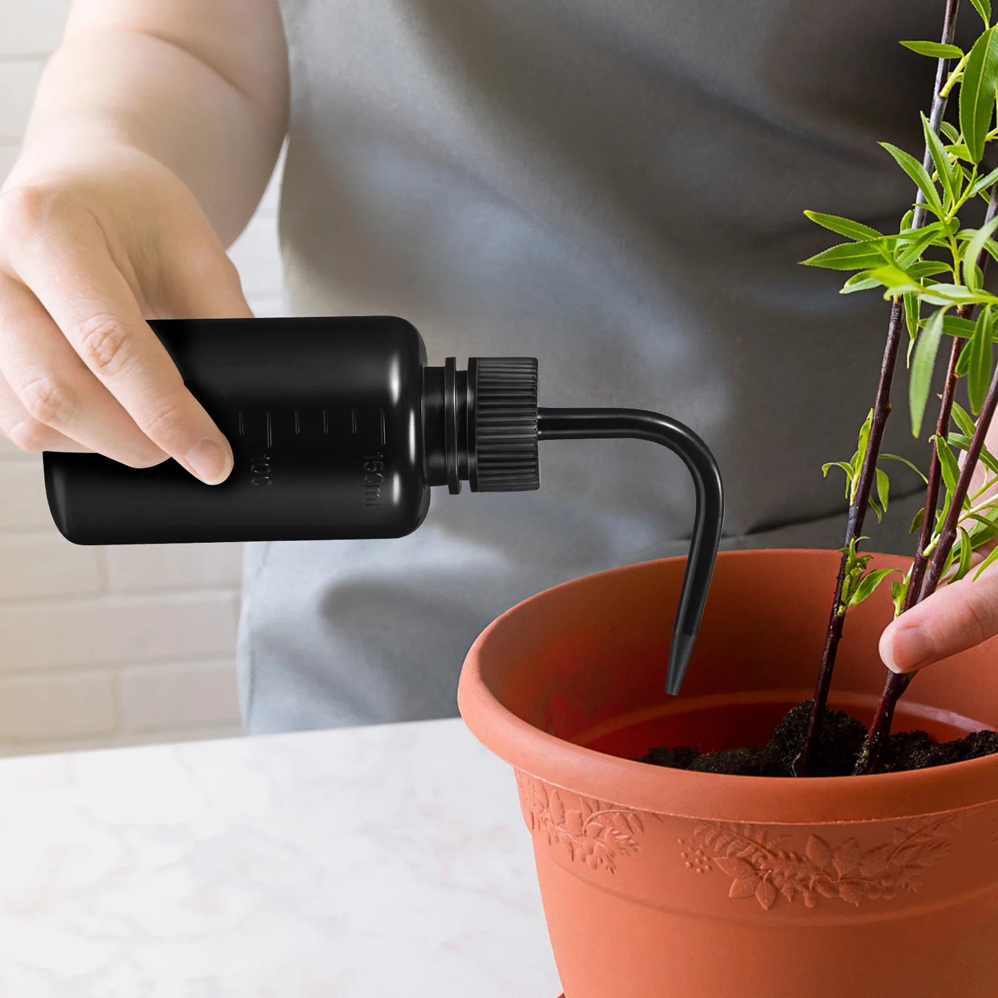 3 Pcs Squeeze Bottles 150ml Empty Plastic Washing Black Lash For Oil Watering Small Container Indoor Plants